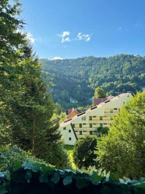 Black Forest Apartment